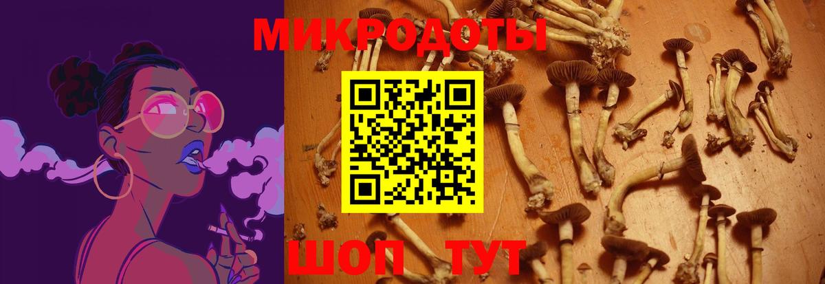 Галлюциногенные грибы мухоморы Киреевск